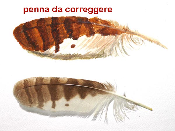 correzioni della seconda lezione